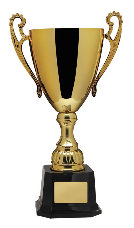 Achievement Gold Cup 277mm